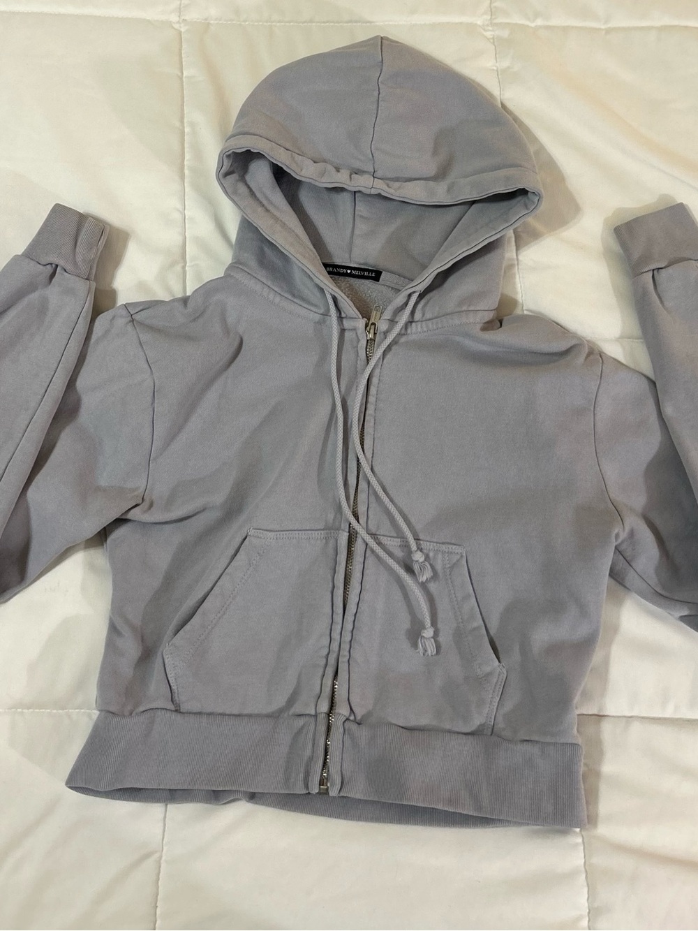 Brandy Melville Cropped Zip-Up Hoodie in Light Purple